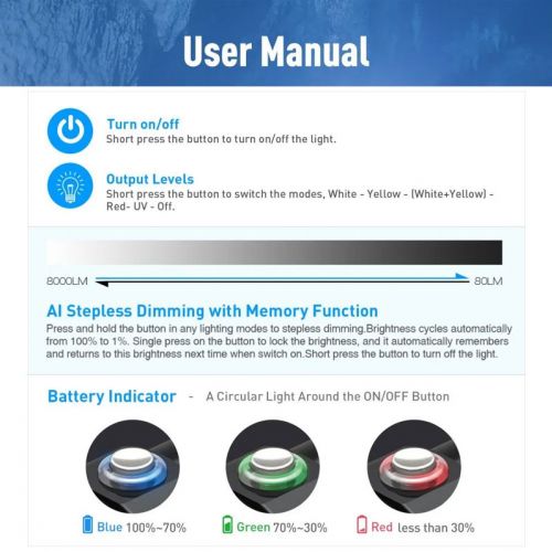 Divepro D80F Plus photo/video light 8000 lumens ()