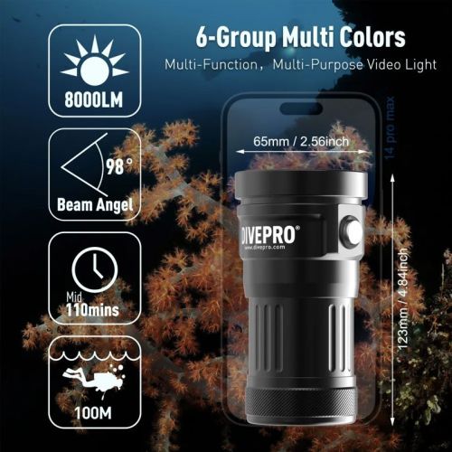 Divepro D80F photo/video light 8000 lumens ()