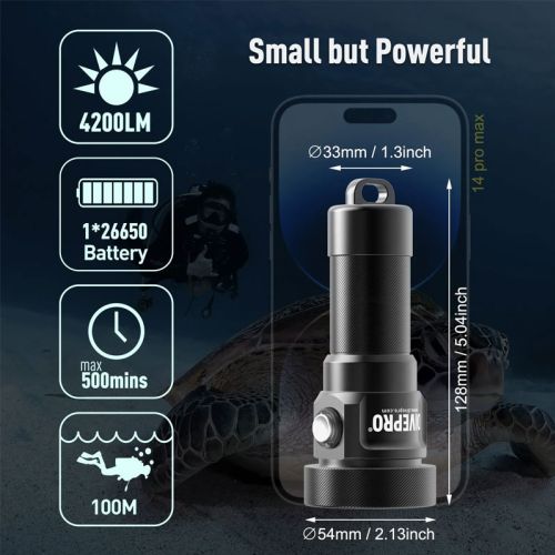 Divepro D40F photo/video light 4200 lumens ()