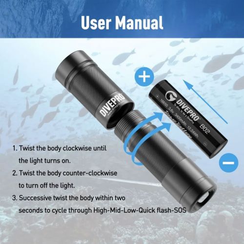 Divepro D5 torch 1150 lumens black with battery and charger ()