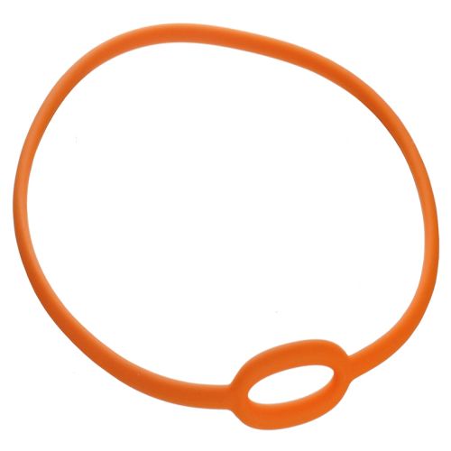 Best Divers Regulator Bungee – Silicone Neck Holder ()